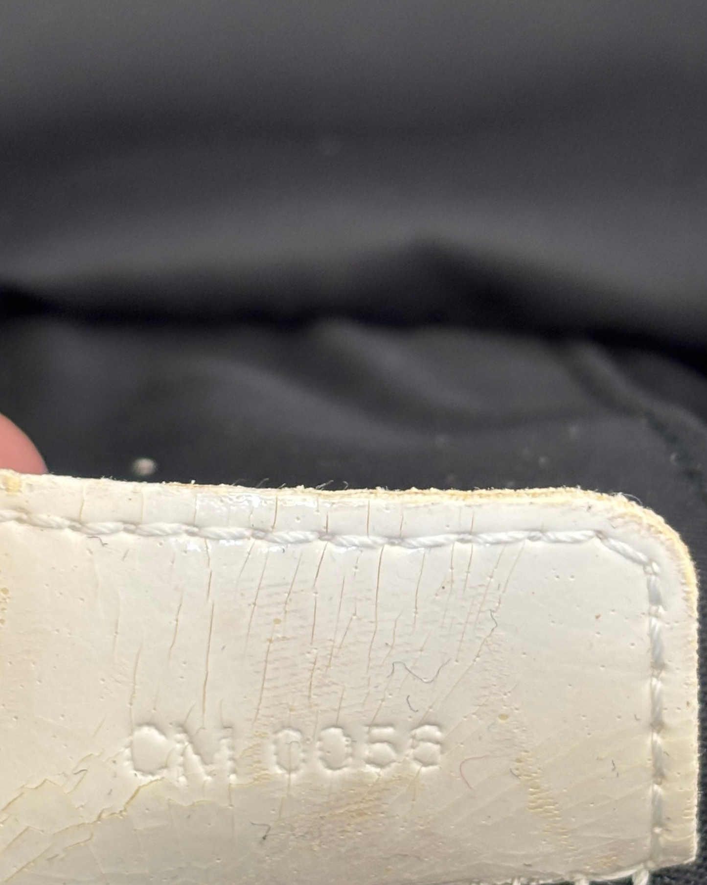 Christian Dior Trotter Vanity Pouch